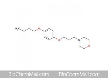 Pramoxine hydrochloride