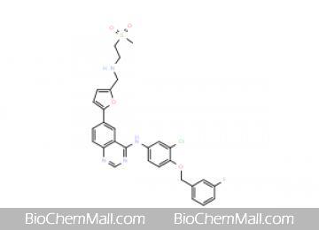 Lapatinib