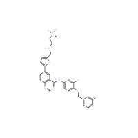 Lapatinib