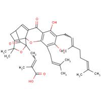 Gambogenic acid