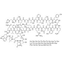 Glucagon HCl