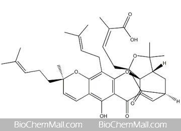 Gambogic Acid