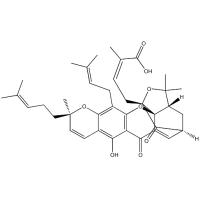 Gambogic Acid