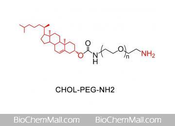 CHOL-PEG-NH2