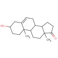 Dehydroepiandrosterone (DHEA)