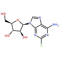 Fludarabine