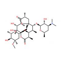 Clarithromycin