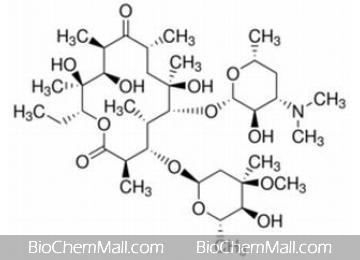 Erythromycin