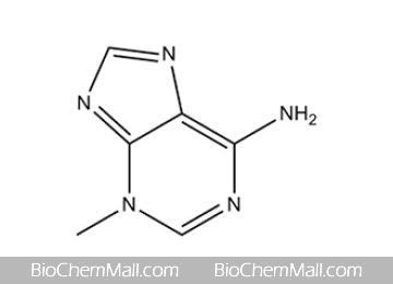 3-Methyladenine (3-MA)