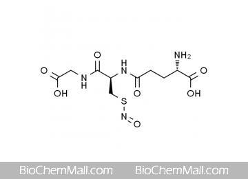 S-Nitrosoglutathione