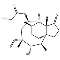 Thiapleuromutilin