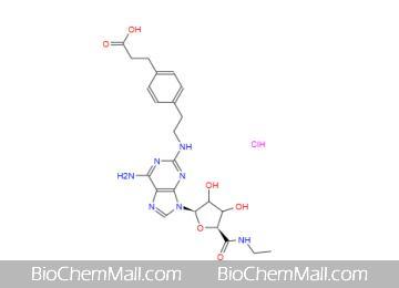 CGS21680 HCl