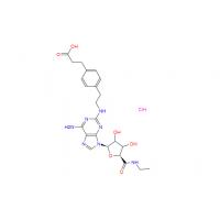 CGS21680 HCl