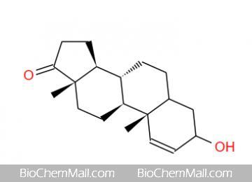 1-DHEA