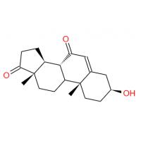 7-Keto DHEA