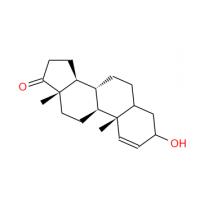 1-DHEA