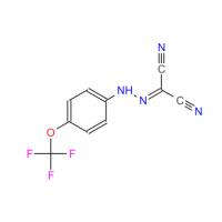 FCCP