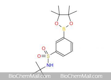 3-[N-(tert-Butyl)sulfamoyl]phenylboronic Acid Pinacol Ester