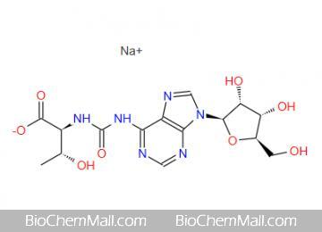 N6-(N-Threonylcarbonyl)adenosine