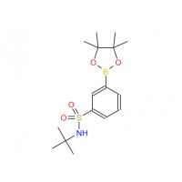 3-[N-(tert-Butyl)sulfamoyl]phenylboronic Acid Pinacol Ester