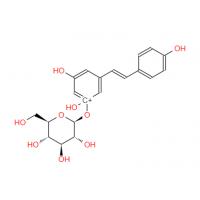 Polydatin (Piceid)