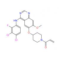 Poziotinib (HM781-36B)