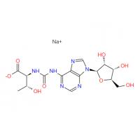 N6-(N-Threonylcarbonyl)adenosine