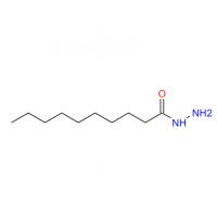 Decanehydrazide