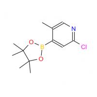 2-Chloro-5-methyl-4-(4,4,5,5-tetramethyl-1,3,2-dioxaborolan-2-yl)pyridine
