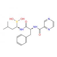Bortezomib