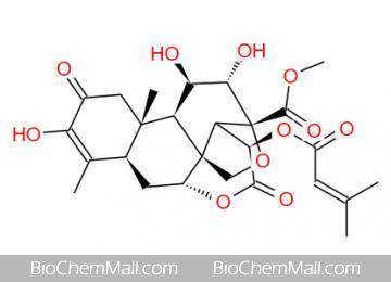 Brusatol (NSC 172924)