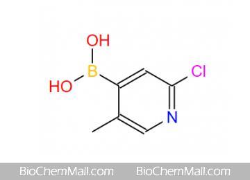 (2-chloro-5-methylpyridin-4-yl)boronic acid
