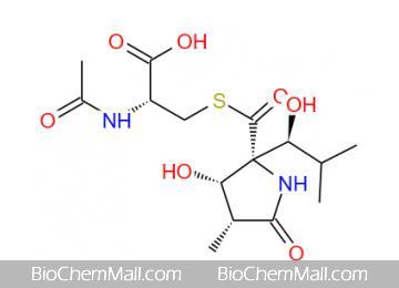 Lactacystin