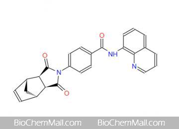 IWR-1-endo