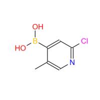(2-chloro-5-methylpyridin-4-yl)boronic acid