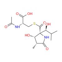 Lactacystin