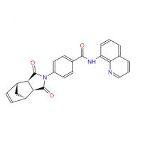 IWR-1-endo