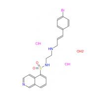 H 89 2HCl