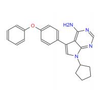 RK 24466