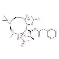 Euphorbiasteroid