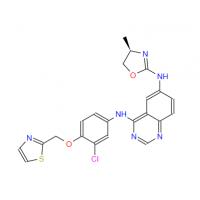 Varlitinib