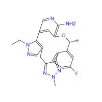 Zidesamtinib (NVL-520)