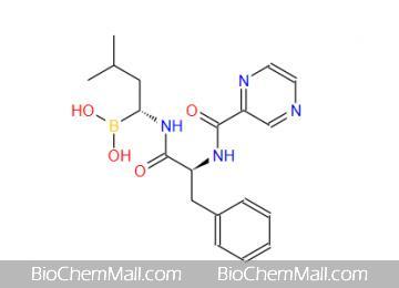 Bortezomib