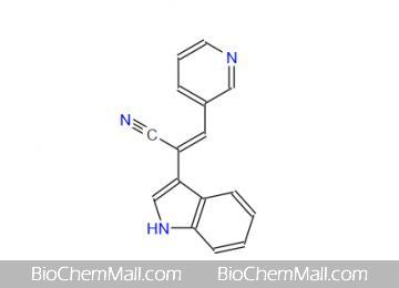 Paprotrain