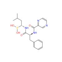Bortezomib