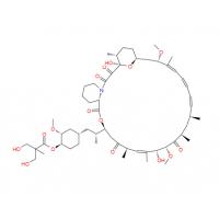 Temsirolimus (CCI-779)