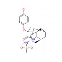 JNJ 303
