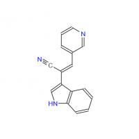 Paprotrain